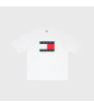 TJM SKATE FLAG TEE