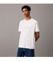 CK CHENILLE MNOLOGO TEE