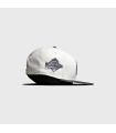 NEW ERA 950 COLOR DEVELOP NYY
