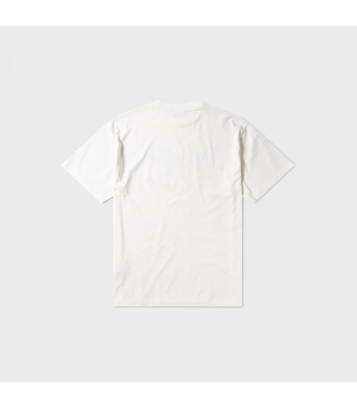 ARIES MEDICINE MAN SS TEE