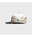 NEW ERA HARDWOOD CLSC BOSTON CELTIC 19TW