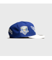 NEW ERA LA DODGERS WINGS 59FIFTY 