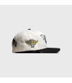 NEW ERA PITTSBURGH PIRATES WINGS 59FIFTY