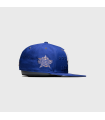 NEW ERA LA DODGERS MLB ALL STARS 